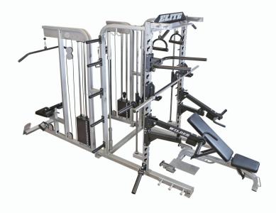 Wilder Fitness Pro Elite Multi System Gym